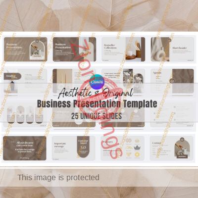 Aesthetic Business Presentation Template
